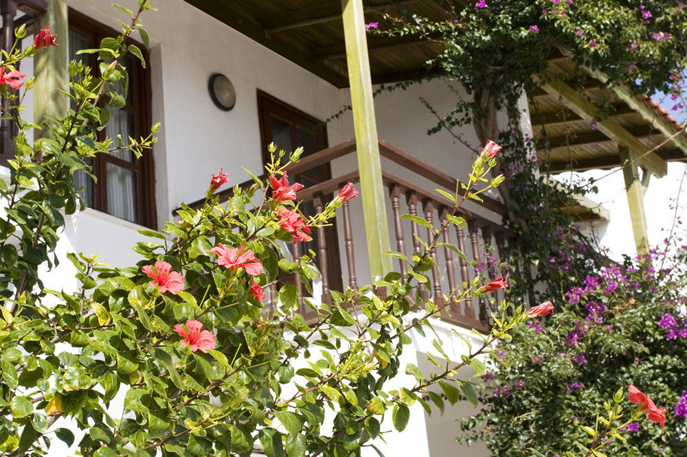 Delfi Hotel Spa&Wellness Center Bodrum Exterior foto